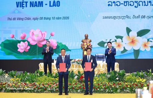 Vietnam, Laos strengthen “strategic cohesion” in economic sector