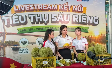 Cần Thơ đẩy mạnh chuyển đổi số trong sản xuất và tiêu thụ nông sản