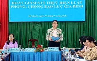 Giám sát việc thực hiện Luật Phòng, chống bạo lực gia đình