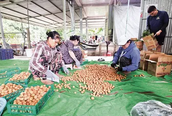 Hỗ trợ doanh nghiệp thích ứng tiêu chuẩn SPS toàn cầu