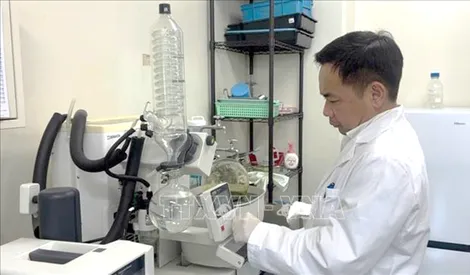 Kết nối trí tuệ Việt toàn cầu: Dấu ấn trên bảng xếp hạng khoa học và những đóng góp hướng về Việt Nam