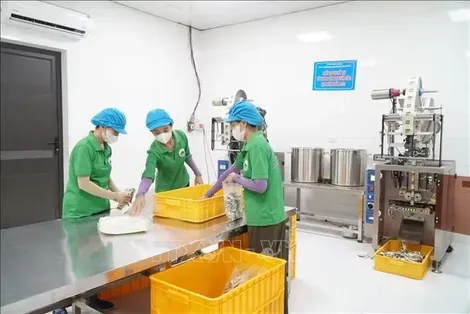 Kinh tế tư nhân - Bài 1: Lực lượng dẫn dắt tăng trưởng, bước chuyển thể chế