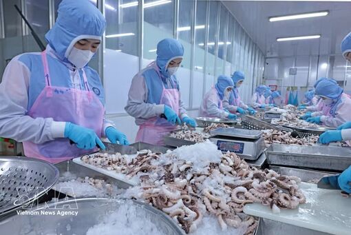 Fisheries sector strives for 12 billion USD in exports amid rising costs