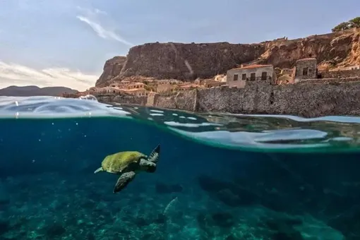 Nhiều mục tiêu bảo tồn thiên nhiên của LHQ chệch hướng