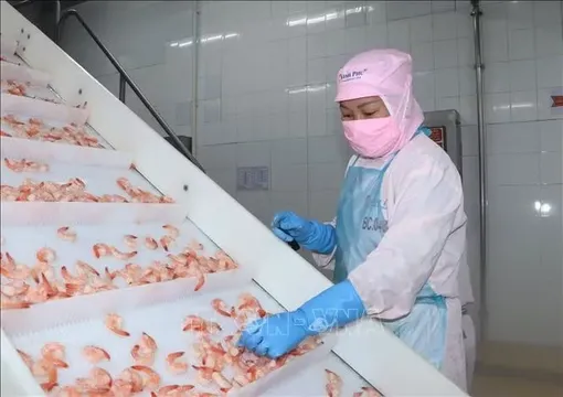 Kinh tế tư nhân - Bài 2: Gỡ điểm nghẽn để khơi thông nguồn lực tăng trưởng