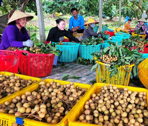 សកម្ម​ឧបត្ថម្ភ​និង​ជំ​រុញ​ការ​អភិវឌ្ឍ​សហ​ករណ៍​កសិ​កម្ម​