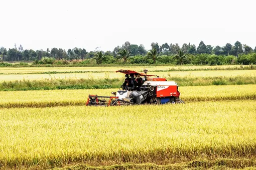 Cùng canh tác xanh, cùng phát triển bền vững
