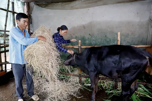 Tiếp thêm nguồn lực giúp đồng bào dân tộc Khmer nâng cao đời sống
