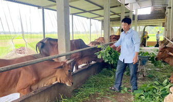 ទម្រង់​គួប​ផ្សំ​នាំ​មក​នូវ​ប្រ​សិទ្ធ​ភាព​សេដ្ឋ​កិច្ច​