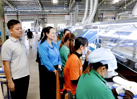 LĐLĐ TP Cần Thơ nắm tình hình hoạt động Công đoàn tại doanh nghiệp
