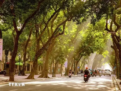 Thời tiết ngày 15/10: Bắc Bộ nắng nóng, Nam Bộ đề phòng mưa dông