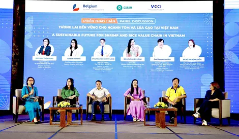 Nâng cao chất lượng việc làm, tăng sức cạnh tranh cho chuỗi tôm, lúa gạo Việt Nam