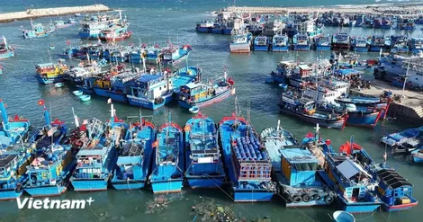 Chống khai thác IUU: Siết quản lý đội tàu, minh bạch nguồn gốc thủy sản