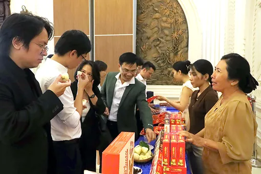Kỹ năng giúp startup đứng vững
