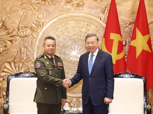 Vietnamese Party, State facilitate more substantive defence ties with Cambodia: Top leader