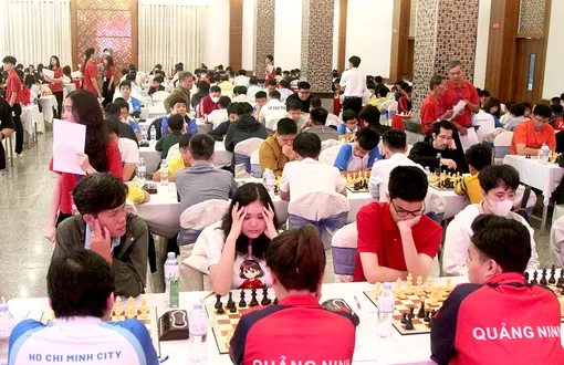 Cần Thơ sẵn sàng đón các kỳ thủ xuất sắc quốc gia