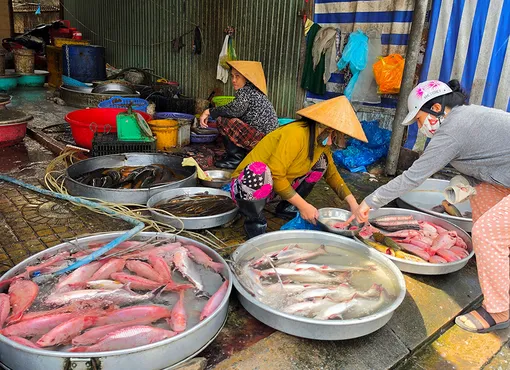 Dạo quanh thị trường