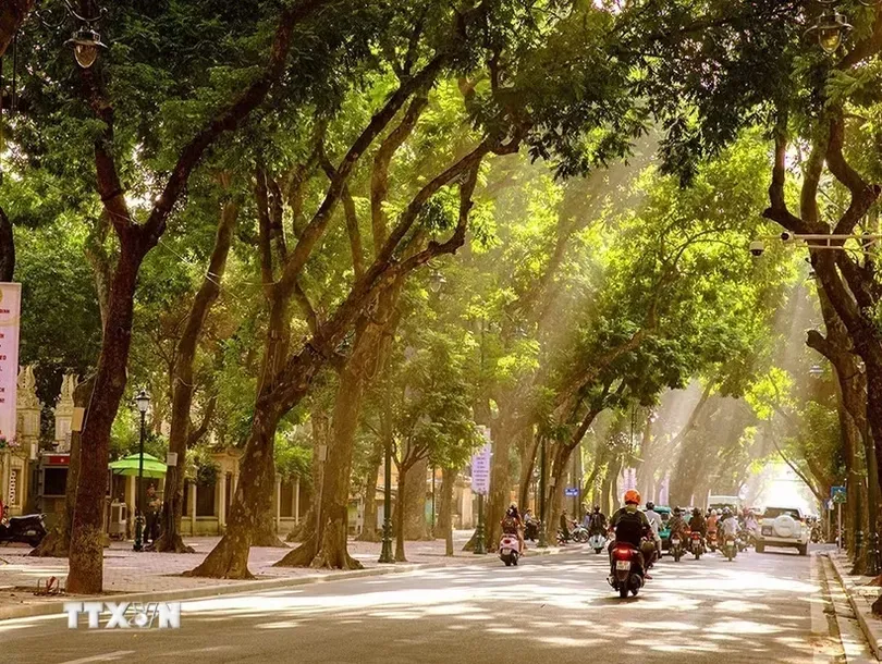 Thời tiết ngày 15/10: Bắc Bộ nắng nóng, Nam Bộ đề phòng mưa dông