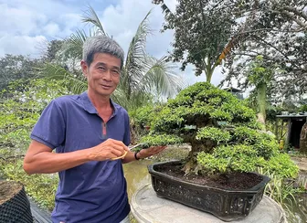 Mở thêm hướng đi cho nông nghiệp đô thị
