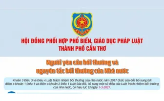 [INFOGRAPHICS] Người yêu cầu bồi thường và nguyên tắc bồi thường của Nhà nước