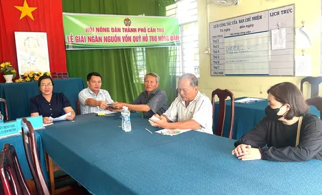 Kịp thời tiếp sức nông dân Thốt Nốt cải tạo vườn cây ăn trái