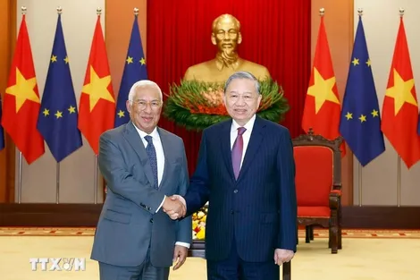 Thúc đẩy quan hệ Việt Nam - EU và Việt Nam - Bỉ lên tầm cao mới