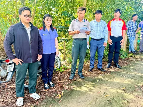 Cưỡng chế bàn giao đất cho người mua trúng đấu giá ở Mỹ Quới