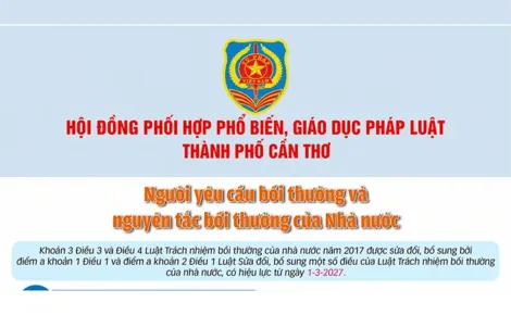 [INFOGRAPHICS] Người yêu cầu bồi thường và nguyên tắc bồi thường của Nhà nước