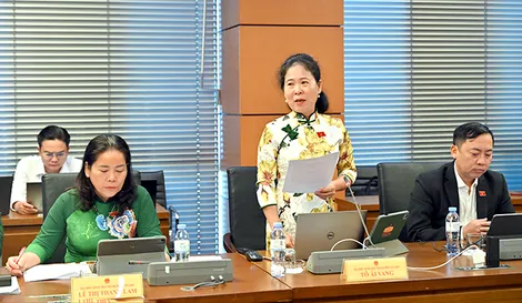 Bà Tô Ái Vang, Phó trưởng đoàn chuyên trách Đoàn Đại biểu Quốc hội TP Cần Thơ, góp ý Luật Bưu chính (sửa đổi)