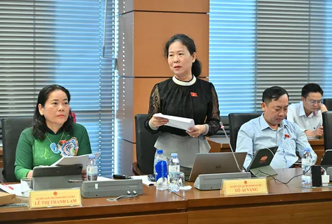 Bà Tô Ái Vang, Phó trưởng đoàn chuyên trách Đoàn Đại biểu Quốc hội TP Cần Thơ, góp ý Luật sửa đổi, bổ sung một số điều của Luật Kế toán, Luật Kiểm toán độc lập