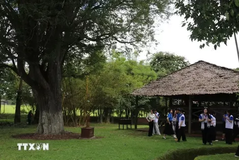 Hai cây cổ thụ tại Căn cứ Bộ Chỉ huy Miền được công nhận Cây Di sản Việt Nam