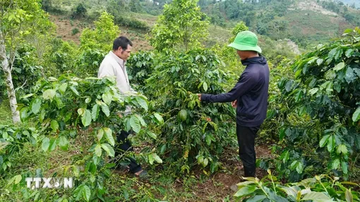 Bài 1: Bước đột phá trong tư duy lãnh đạo kinh tế