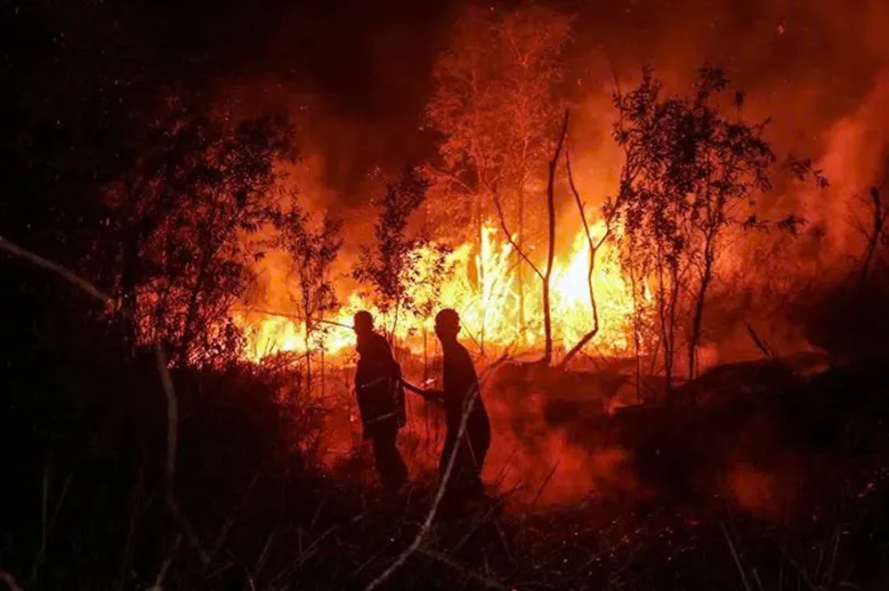Indonesia chấp nhận hỗ trợ quốc tế ứng phó cháy rừng lan rộng