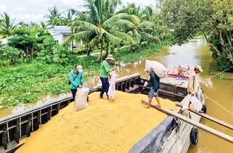 Nhiều thách thức trong xuất khẩu gạo