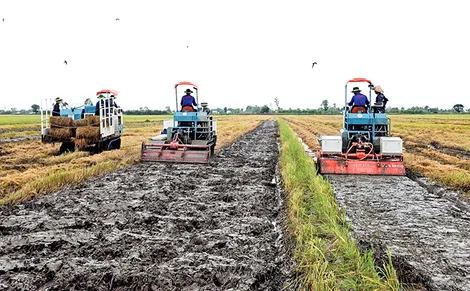 Lấy khả năng cấp nước quyết định lịch thời vụ, diện tích gieo trồng