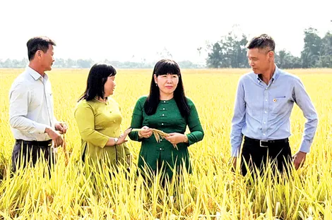 Giữ đà thắng lợi từ canh tác bền vững