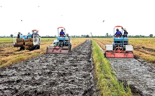 Lấy khả năng cấp nước quyết định lịch thời vụ, diện tích gieo trồng