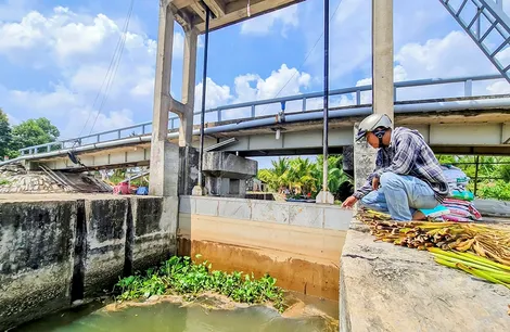 Xâm nhập mặn vùng ĐBSCL có khả năng xuất hiện sớm