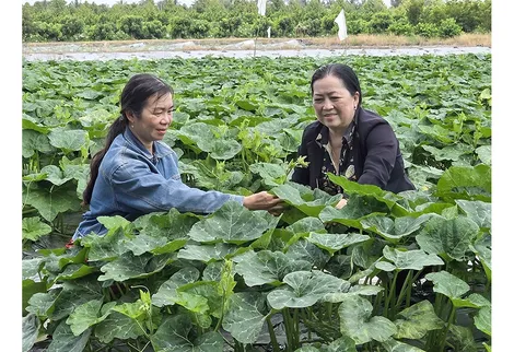 Lấy lợi ích của nhân dân làm trung tâm