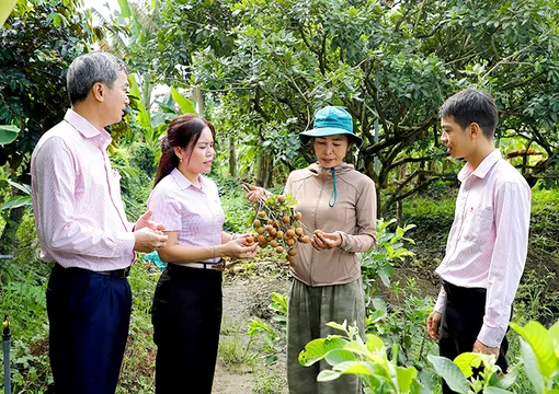 Phát huy nguồn lực tín dụng chính sách trong xây dựng nông thôn mới