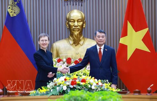 Vietnam, Liechtenstein step up cooperation, tap opportunities from new agreements