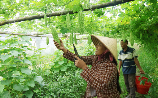 រួម​ដំ​ណើរ​ជា​មួយ​នា​រី​ខ្មែរ​អភិវឌ្ឍ​ន៍សេដ្ឋ​កិច្ច​បៃ​តង​