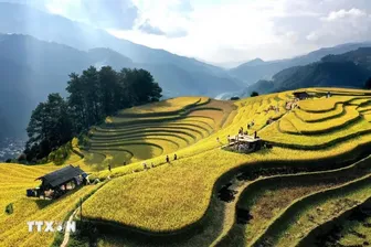Việt Nam vào mùa đẹp nhất, đứng thứ 4 trong xu hướng du lịch mùa Thu 2026