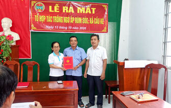 កូវកែចងសម្ព័ន្ធកសិករដាំជីររណា