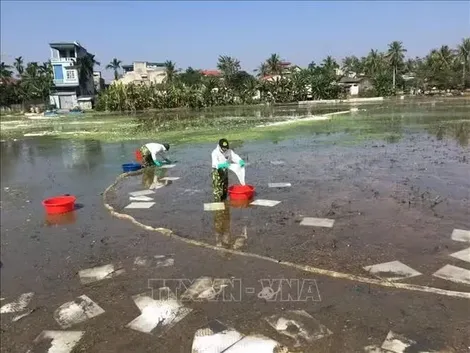 Chỉ thị của Bộ Chính trị về bảo đảm an ninh môi trường trong thời kỳ phát triển mới