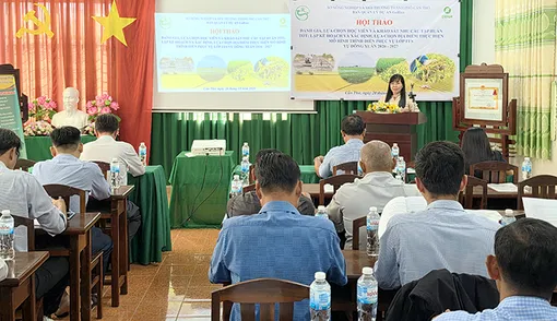 Thúc đẩy thực hiện Dự án GoRice tại TP Cần Thơ