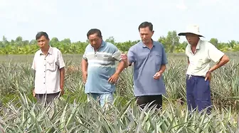 “Đưa Nghị quyết thành hành động” lan tỏa các mô hình, cách làm sáng tạo