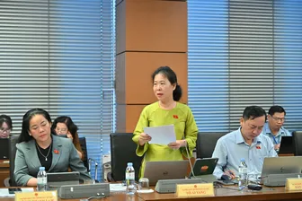 Bà Tô Ái Vang, đại biểu Quốc hội đơn vị TP Cần Thơ, góp ý Luật Dược và Luật Bảo hiểm y tế sửa đổi