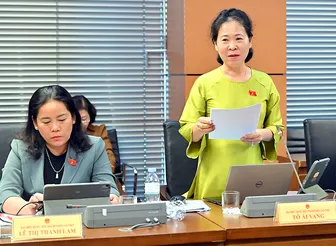 Bà Tô Ái Vang, Phó trưởng đoàn chuyên trách Đoàn đại biểu Quốc hội TP Cần Thơ, góp ý Luật sửa đổi, bổ sung một số điều của Luật Hoạt động chữ thập đỏ