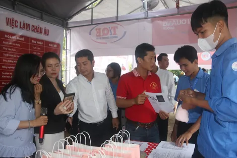 Kế hoạch triển khai thi hành Luật sửa đổi, bổ sung một số điều của Luật Người lao động Việt Nam đi làm việc ở nước ngoài theo hợp đồng
